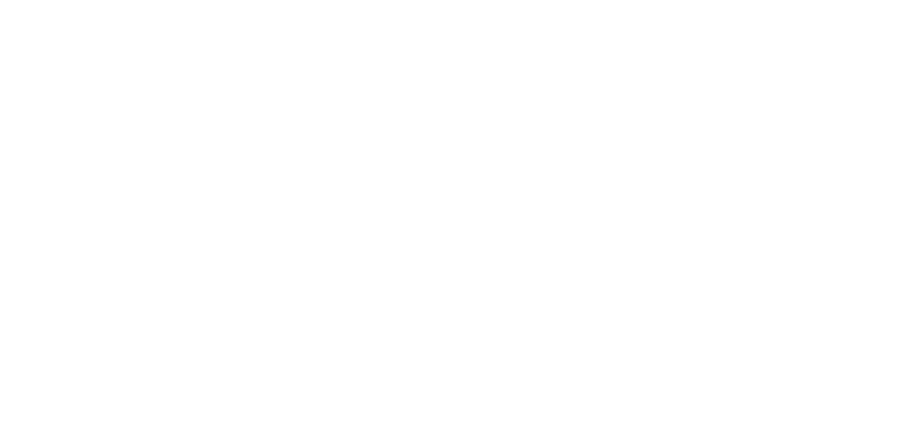 BNI Logo