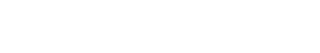 Shopify Partners Logo