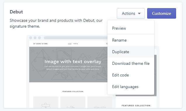 Duplicate Shopify theme