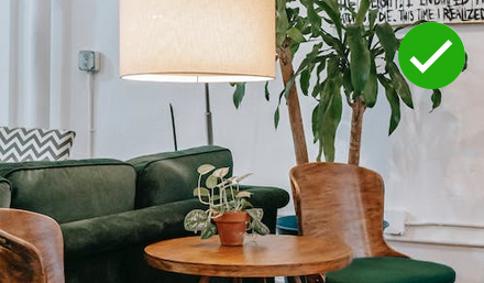 cosy and natural living space with green plants and furniture